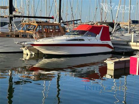 SEA RAY SUNDANCER 290