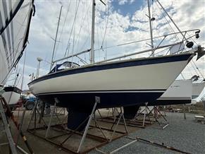 Westerly Storm 33
