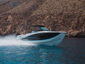 Quicksilver 875 Sundeck