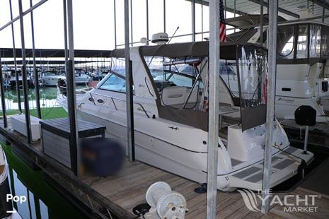 Sea Ray 310 Sundancer - 1999 Sea Ray 310 Sundancer - Photo #1