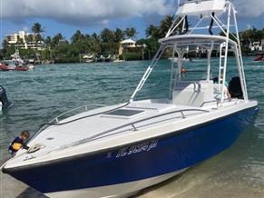 Wellcraft 30 Scarab Sport