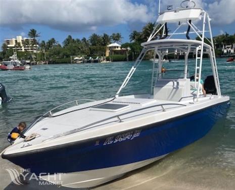 Wellcraft 30 Scarab Sport