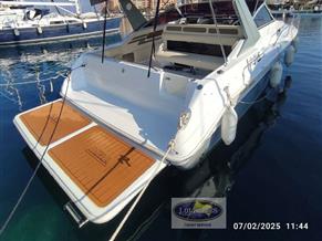 SEA RAY SUNDANCER 310