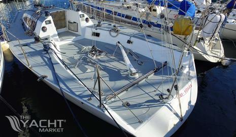 CARROLL MARINE MUMM 36