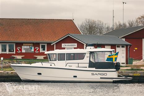 Sargo 31