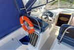Alpha 29 Sportsbridge - Image 