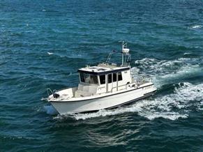 Botnia Targa 31