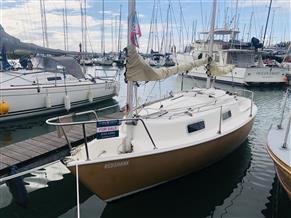 Hunter Liberty 22