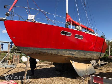 Steel Robert Tucker Leopard 32