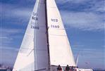 Baltic 37