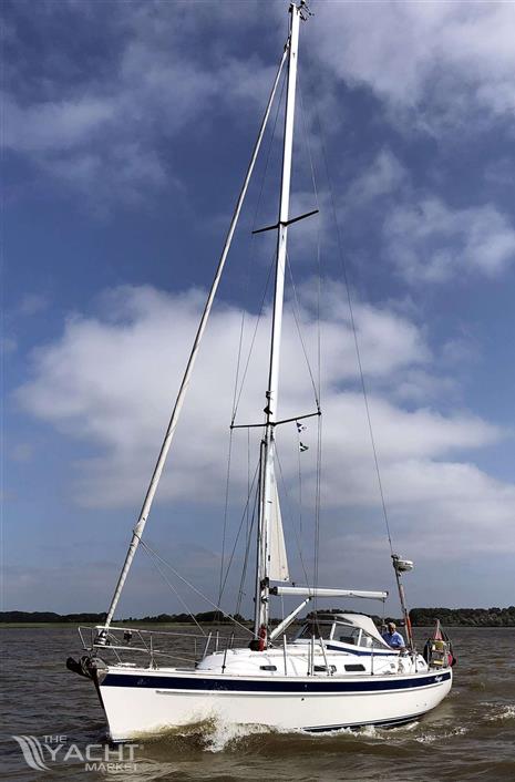 HALLBERG RASSY HALLBERG RASSY 37