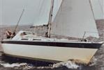 WAUQUIEZ GLADIATEUR 33