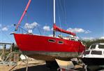 Steel Robert Tucker Leopard 32