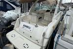 SEA RAY SUNDANCER 290