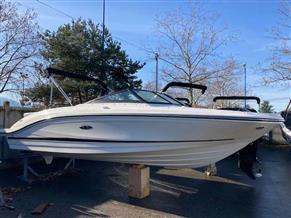 SEA RAY SEA RAY 210 SPX