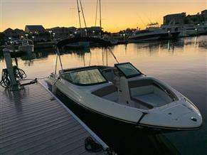 Sea Ray 230