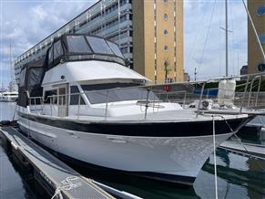 TARQUIN TRADER 41