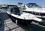 White Shark 225
