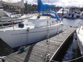 Contessa 28