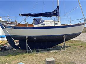 Frances 26