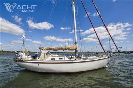 Tradewind 35