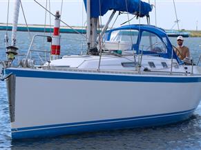 Wauquiez Centurion 37