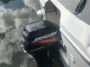Viking 24