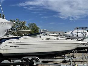 Wellcraft 2600 Martinique