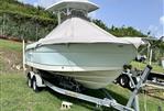 Robalo R242