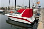 SEA RAY SUNDANCER 290