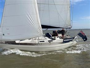 Hanse Finngulf 33 (Hanse 331)