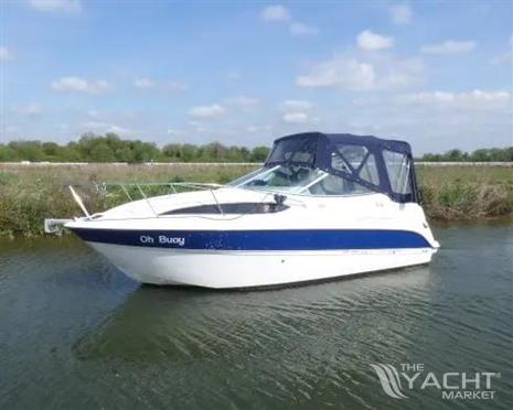 Bayliner 245