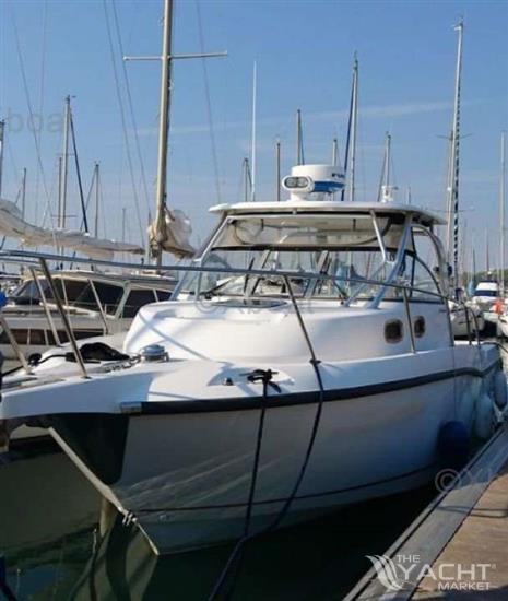 BOSTON WHALER CONQUEST 305