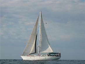 LOVETT 50