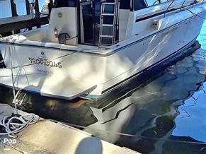 Silverton Convertible 34c