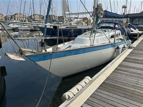 She 31 Traveller