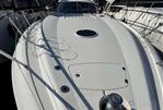 SUNSEEKER PREDATOR 56