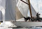 Fairlie Yard - William Fife 12MR Class - Vanity V - sailing
