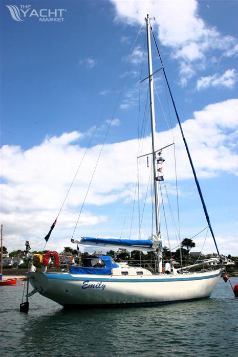 Tradewind 35