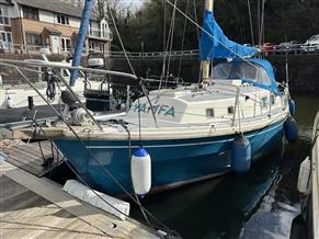 Westerly Longbow 31