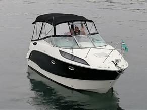 Bayliner 245/255