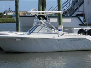 Cobia 220 DC