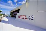 NEEL NEEL 43