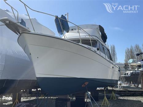 Bayliner 3270 Explorer - 1984 Bayliner 3270 Explorer - Photo #1