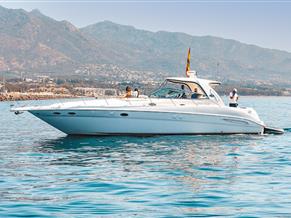 Sea Ray 460 Sundancer