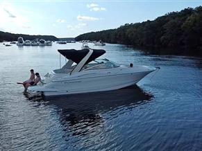 Crownline 300LS