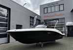 Sea Ray SPX 190