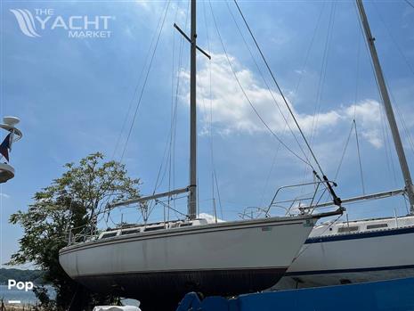 Catalina 30 Tall Rig - 1984 Catalina 30 Tall Rig - Photo #1