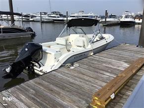 Cobia 220 DC