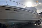 Sea Ray 340 Sundancer - Picture 4